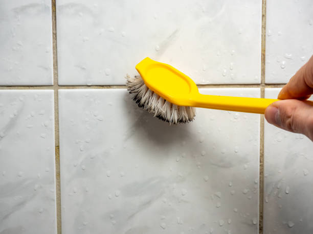 Best Mold Testing  in Clayton, CA