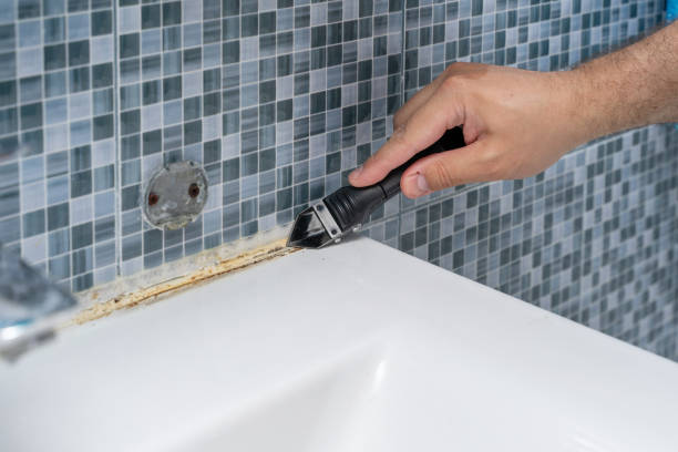 Best Best Mold Removal Companies  in Clayton, CA